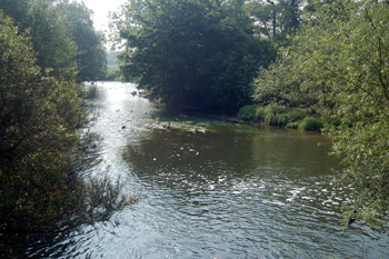 View downstream from Harrold Bridge May 2008